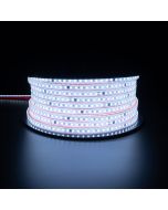 LED Strip - Velvalux - 50 Meter - Helder.Koud Wit 6000K - Dimbaar - Waterdicht IP67 - 96000 Lumen - 6000 LEDs - Directe Aansluiting op Netstroom - Werkt zonder Driver