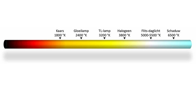 Zakelijk LED